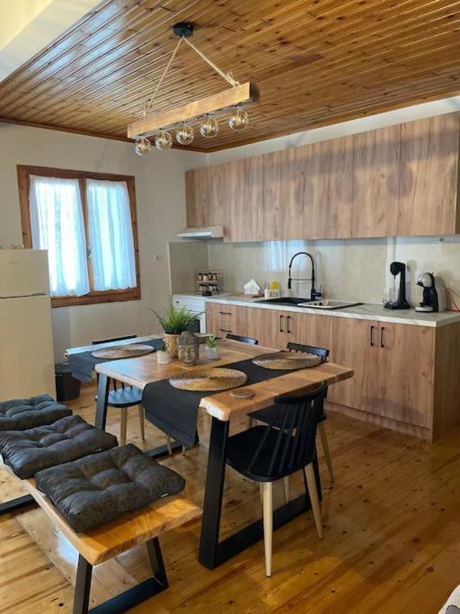 Politis' Wooden House Apartment Vasiliki  Ngoại thất bức ảnh