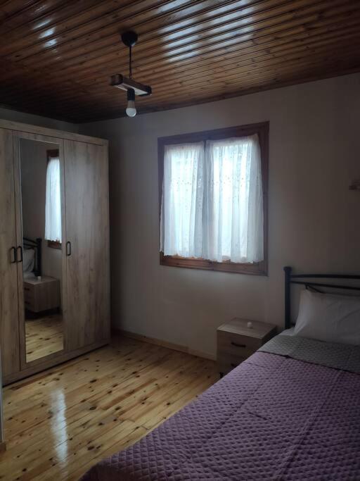 Politis' Wooden House Apartment Vasiliki  Ngoại thất bức ảnh