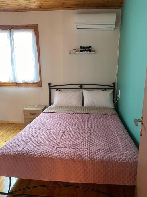 Politis' Wooden House Apartment Vasiliki  Ngoại thất bức ảnh