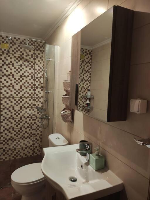 Politis' Wooden House Apartment Vasiliki  Ngoại thất bức ảnh