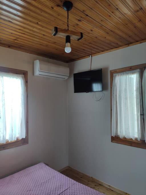 Politis' Wooden House Apartment Vasiliki  Ngoại thất bức ảnh