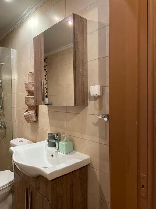 Politis' Wooden House Apartment Vasiliki  Ngoại thất bức ảnh
