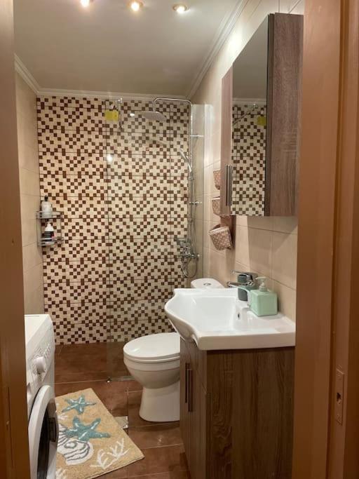 Politis' Wooden House Apartment Vasiliki  Ngoại thất bức ảnh