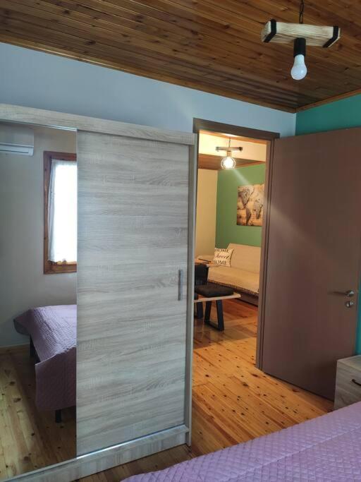 Politis' Wooden House Apartment Vasiliki  Ngoại thất bức ảnh