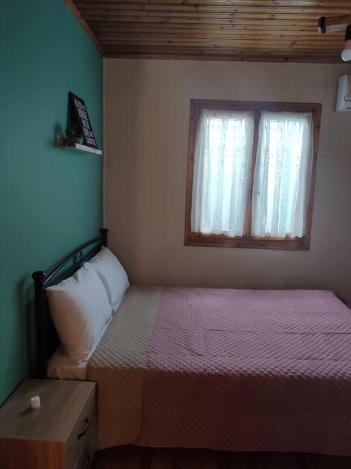 Politis' Wooden House Apartment Vasiliki  Ngoại thất bức ảnh